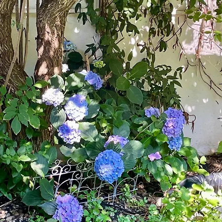 Effis Haus, Atelierhaus Mit Garten *
